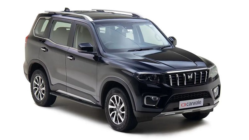 expert article